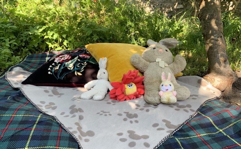 Photo of soft toys on a picnic rug outdoors