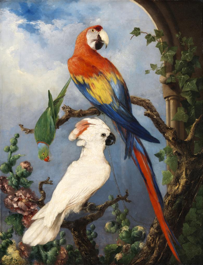 Painting of birds