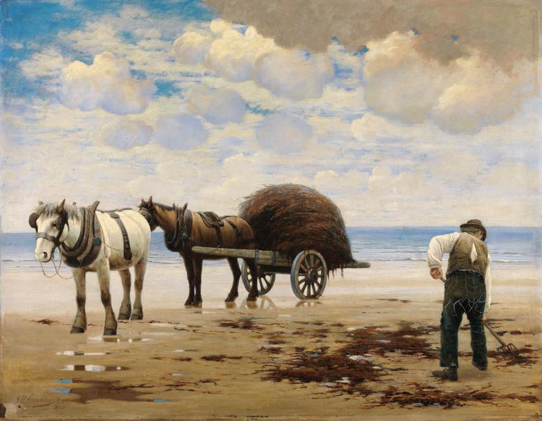 Two horses, one with a cart behind it, stand on a beach. The cart is piled high with seaweed; a man in the foreground is raking it up.