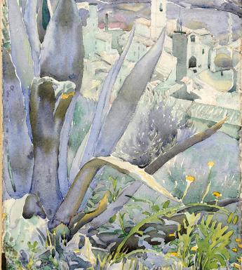 Watercolour of aloe plants