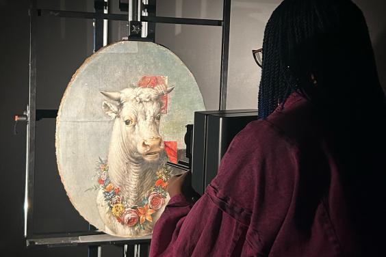 A small oval painting of a bull stands on an easel; someone stands in front of it taking an infrared reading